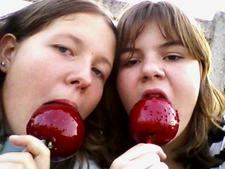 Nous a la foire