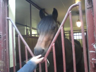 Delire